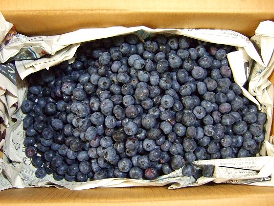 b0f41ec4.jpg