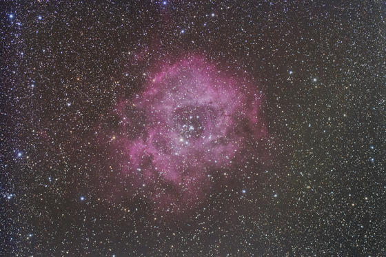 b51ba90e.jpg