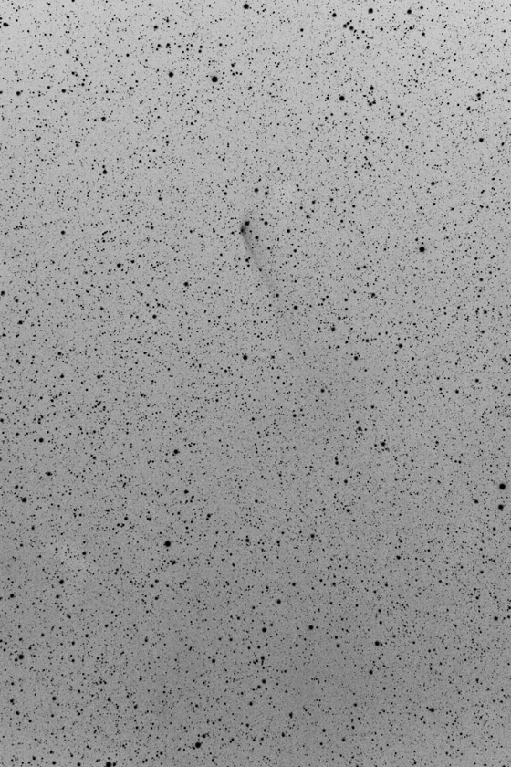 b8ea997a.jpg
