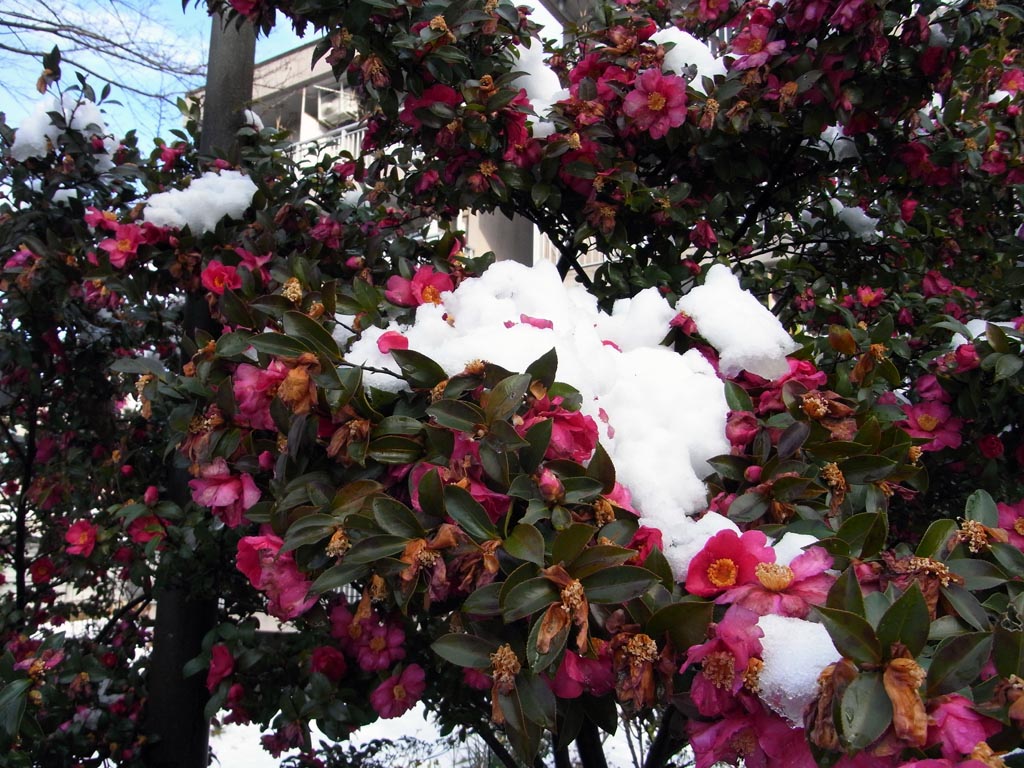 ba5279f9.jpg