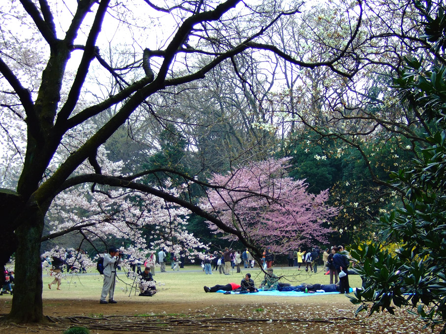 c20b7364.jpg