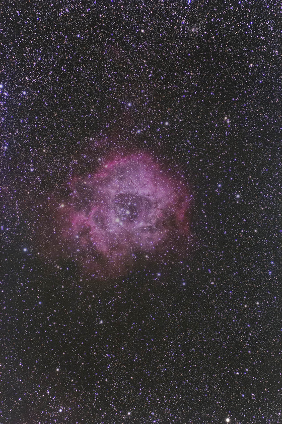 d29777fe.jpg