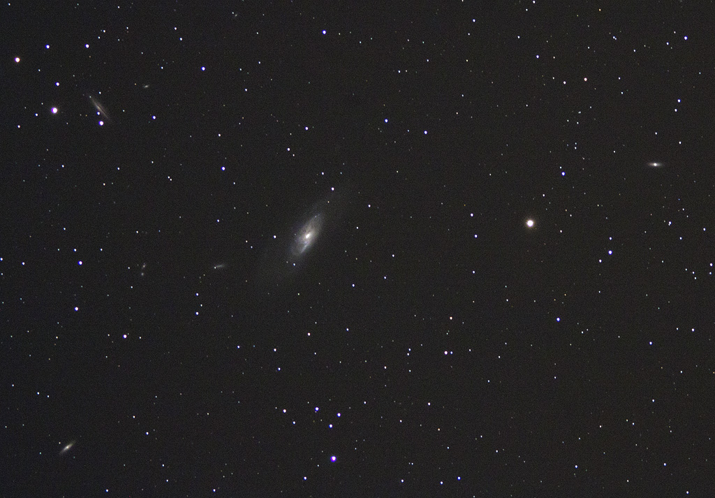 d4503f13.jpg