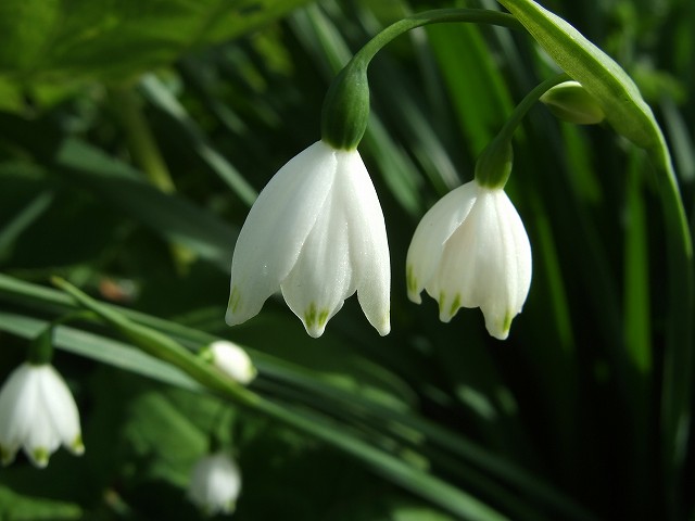 d6e48d58.jpg