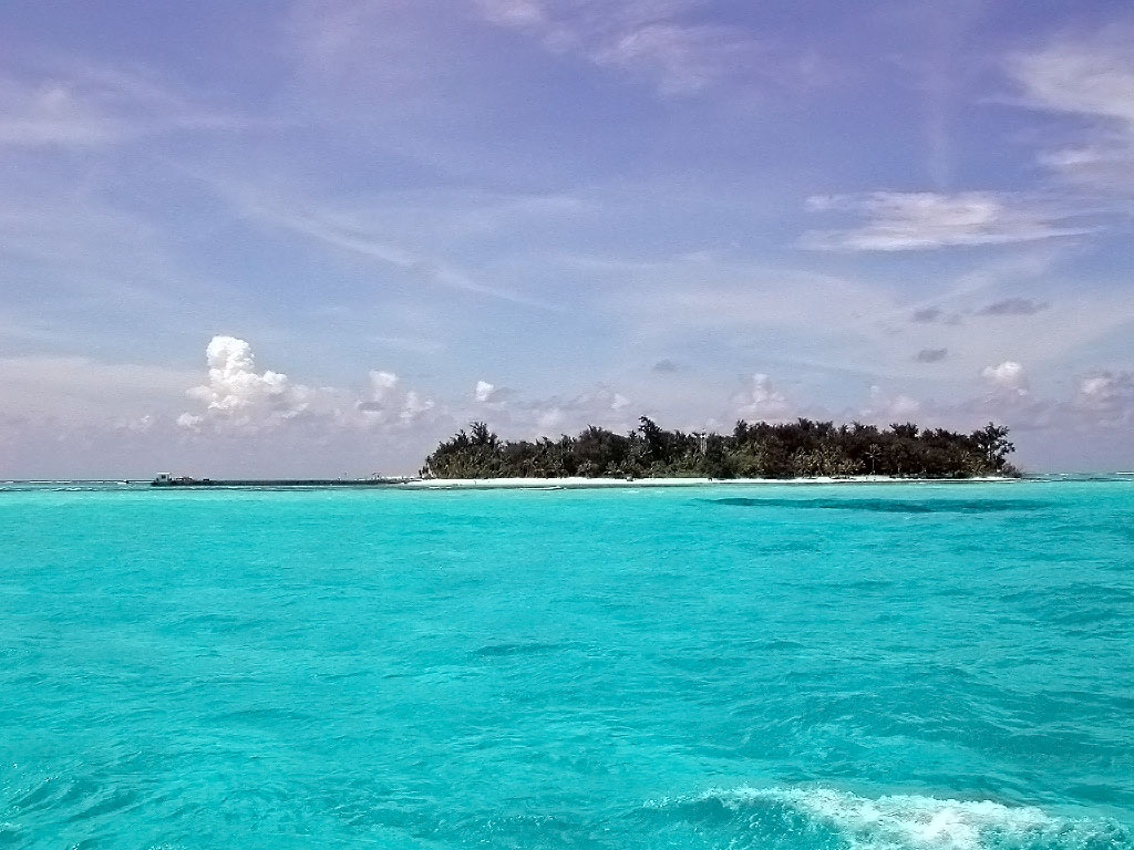 d702fd2d.jpg