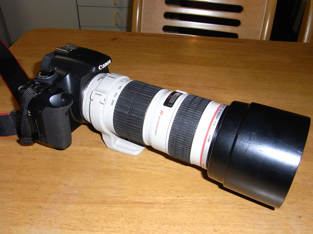 d7b662f3.jpg