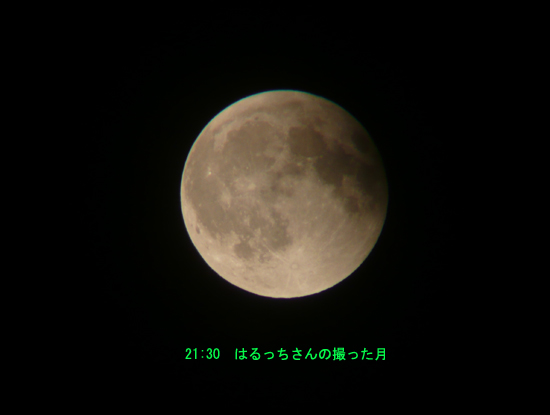 e5e5b031.jpg