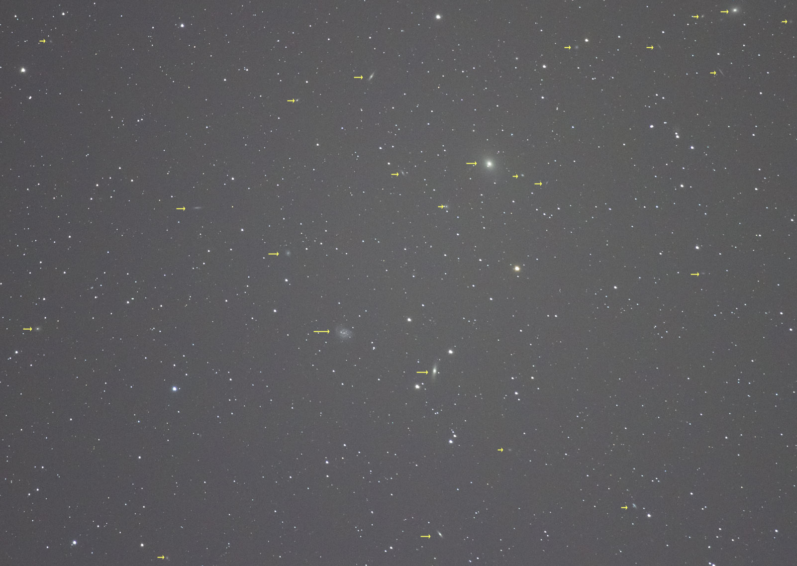 e6462084.jpg