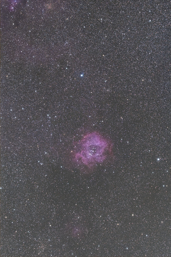 e9cd66ba.jpg