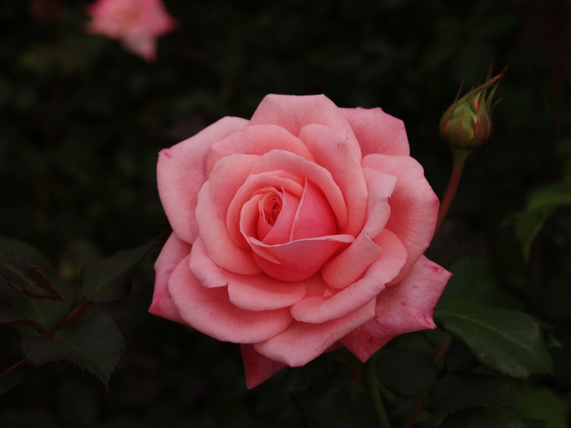ee5072d8.jpg