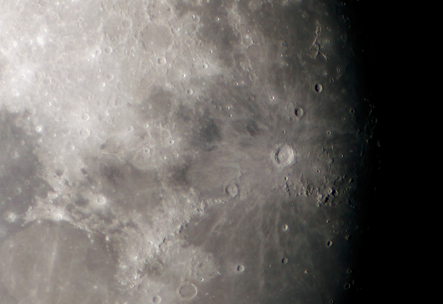 f442a6fc.jpg