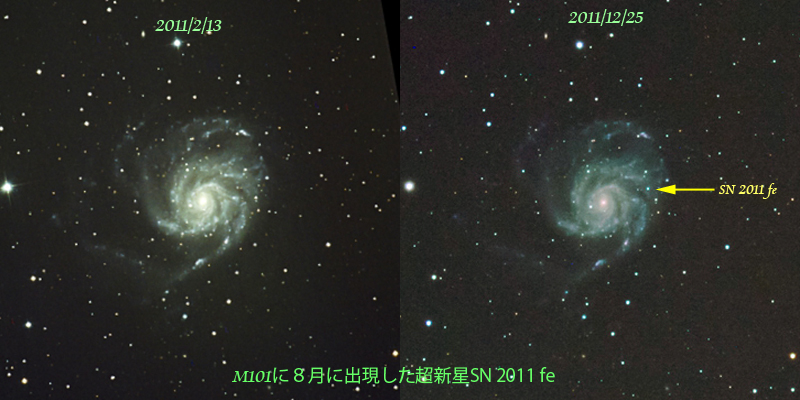 f90010c9.jpg