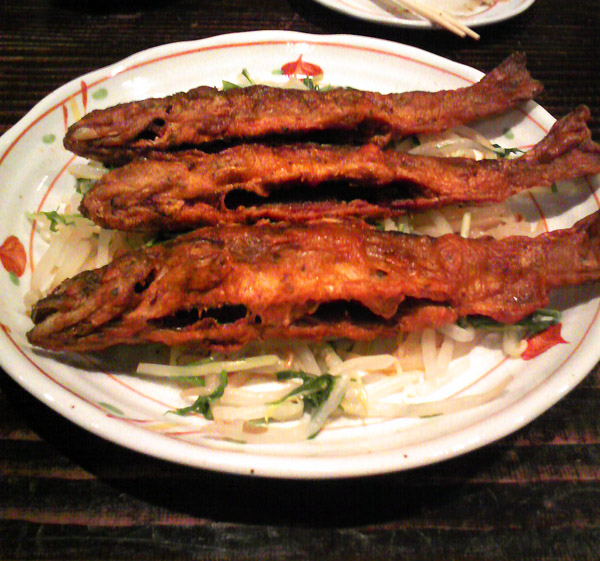 fce96232.jpg