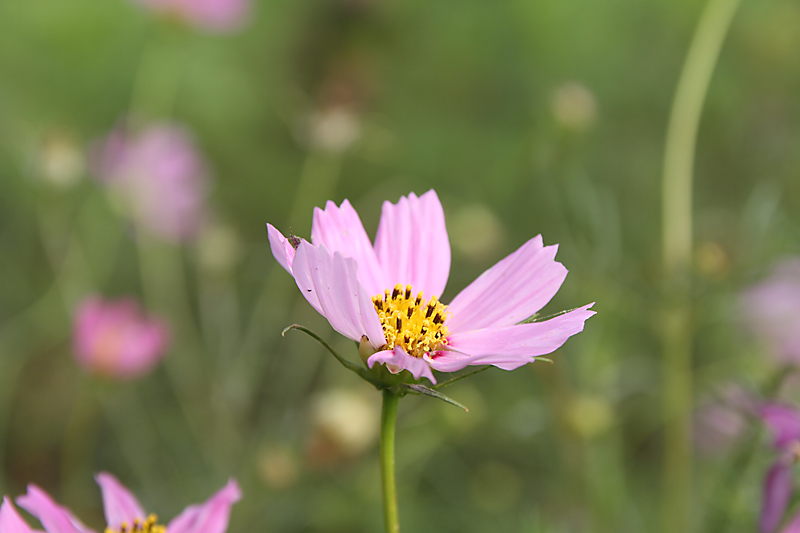 fd8074d2.jpg