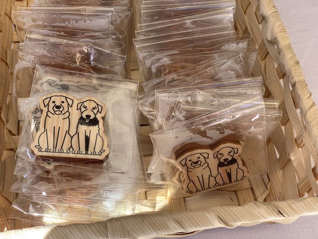 4A44364B-CA58-488F-87B2-97130F119162