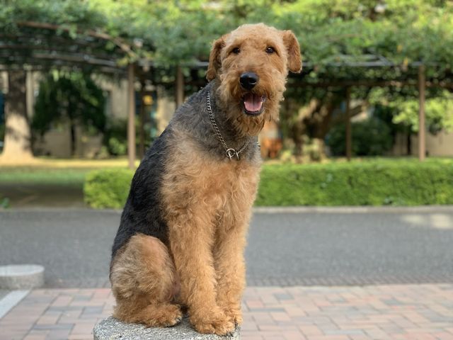 C2B88EAA-3FD5-422E-9B41-365A91642DCD