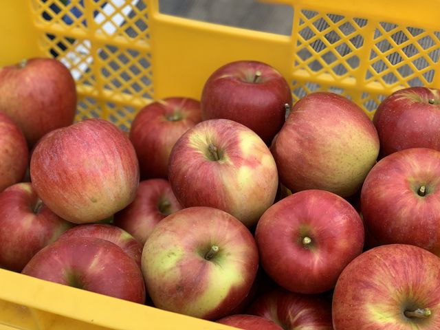 453C5CF7-4C5E-4316-ADB5-A60651E11A70