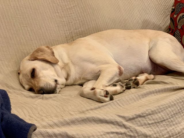 4F6E4B7E-27DD-4AAE-A5DE-F3E44EA95C9F