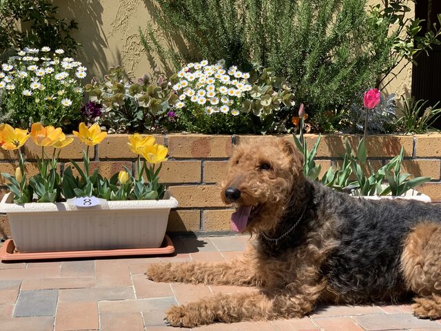 4DC0FFC1-985A-46EF-B4E7-70A502663F22