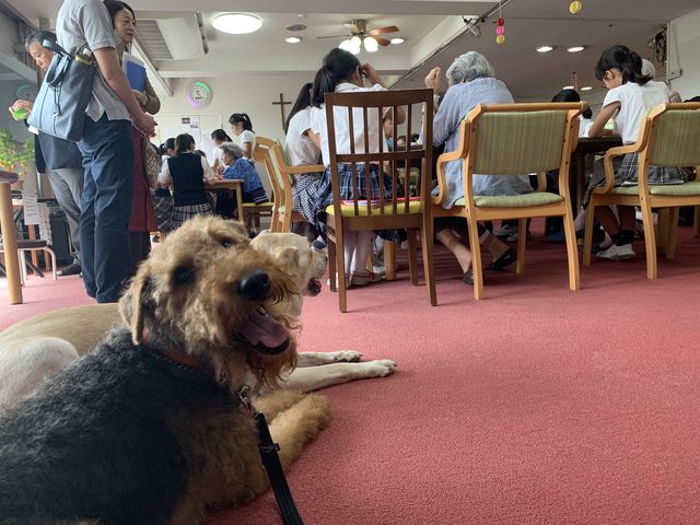 3431EE62-7855-4AEC-93B1-9ECEC8879D02