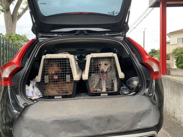 65A6C0EA-EAD7-4120-BB5D-35CE813274DC