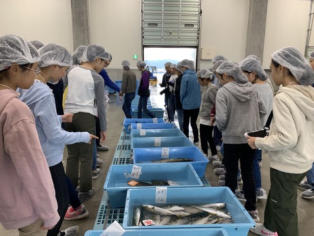 D26DB484-A556-487C-96AA-482B3E2B350F