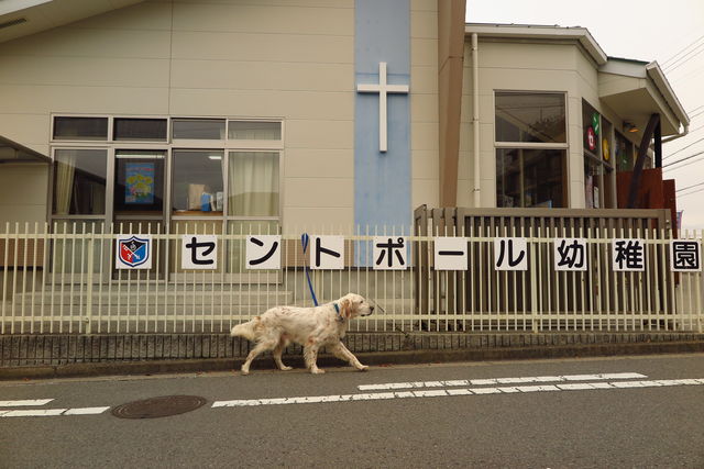 セント ポール 幼稚園