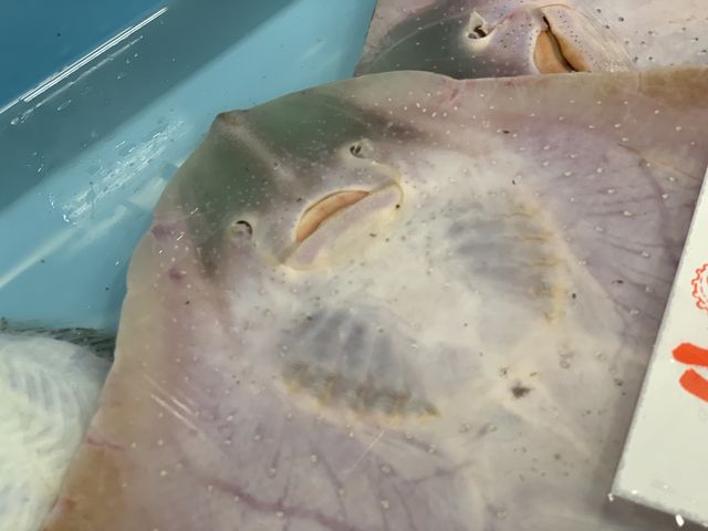 385F9FC4-F1F6-4F65-8442-52961F565DC8