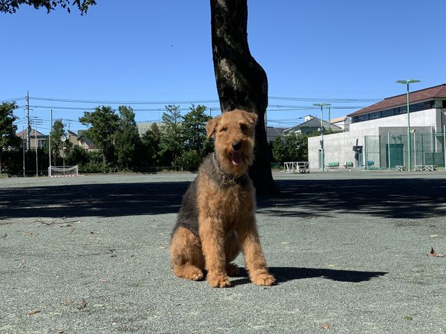 FC037A0E-93F7-4E71-8CA4-20825FB23411