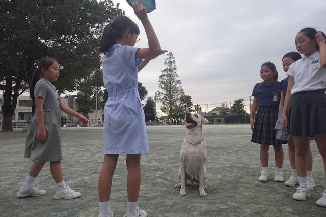 A09A0CAE-0BF2-4492-B391-ED6569223A1A