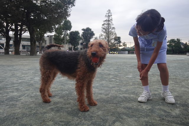 DF7DDD73-087D-4FD6-8F2A-6E53AD785998