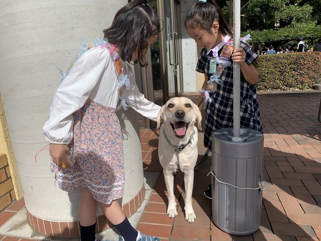 A703ADFD-2354-4DC9-8250-34C4E90AE564