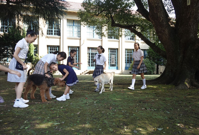 54452C6D-005F-4759-A5E3-E6FFAFBE9AA2