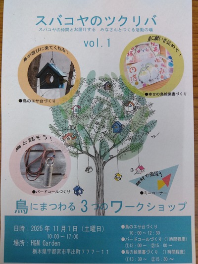 IMG_2025-10-12-10-37-40-781