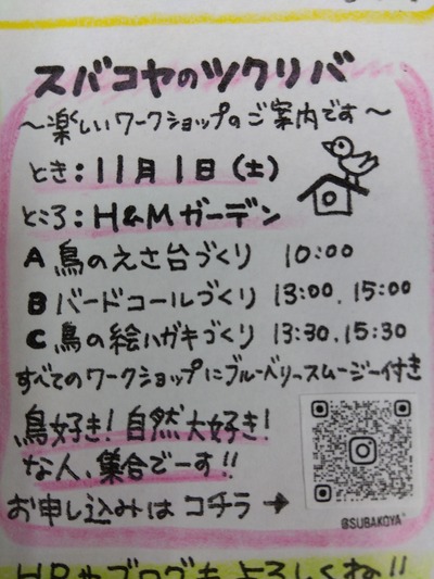 IMG_2025-10-12-10-37-23-331