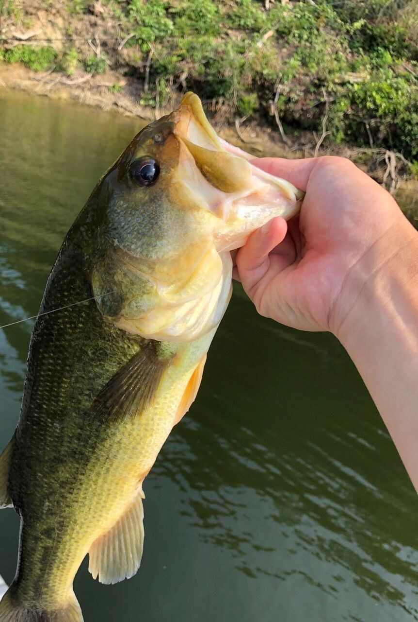 受け取ったバトンを シップス塾長ブログ