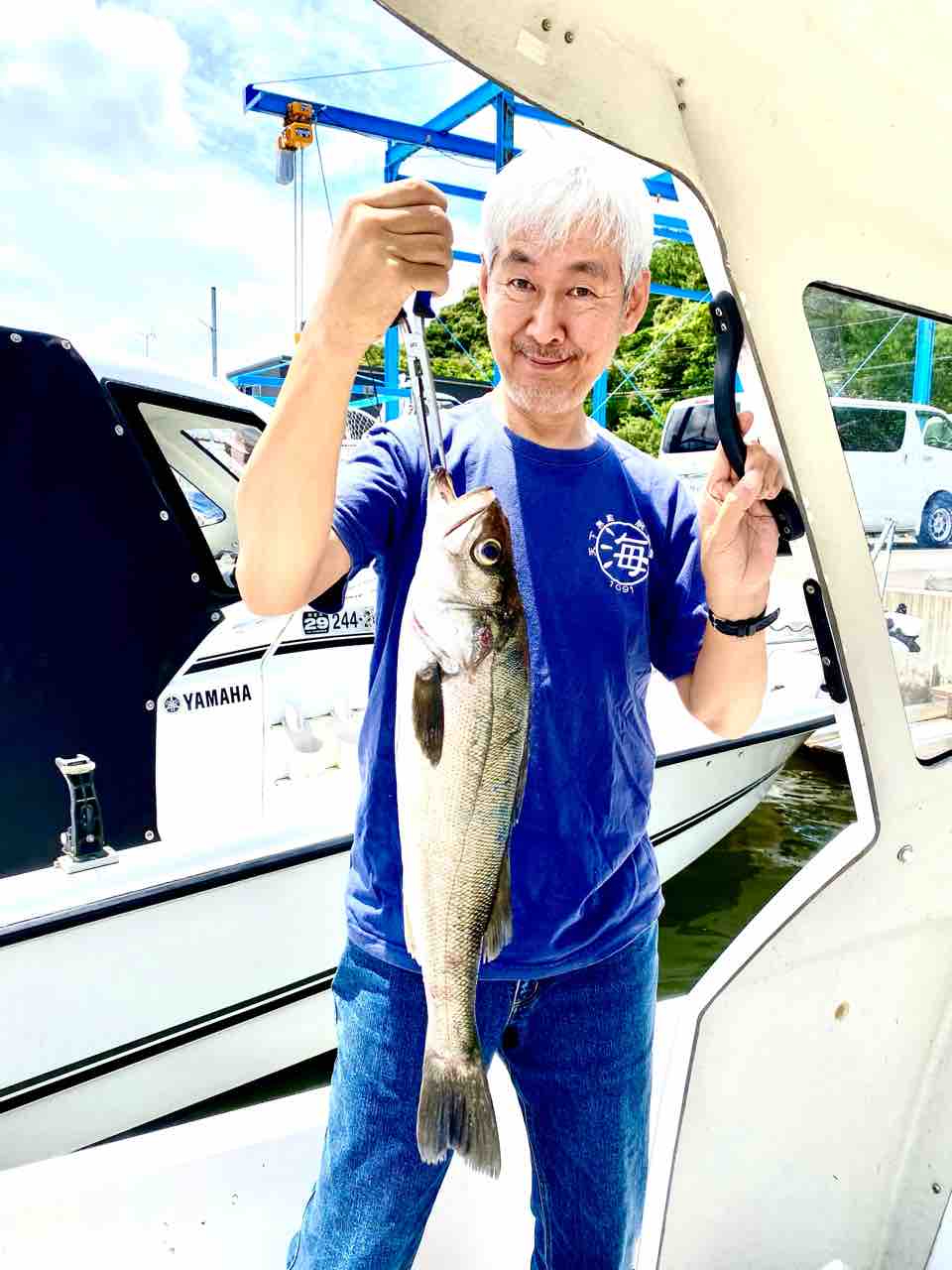 パパはなんでも知っている シップス塾長ブログ パパはなんでも知っている シップス塾長ブログ