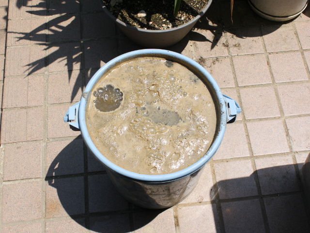 17年05月 お金を掛けずに家庭菜園 17年05月 お金を掛けずに家庭菜園