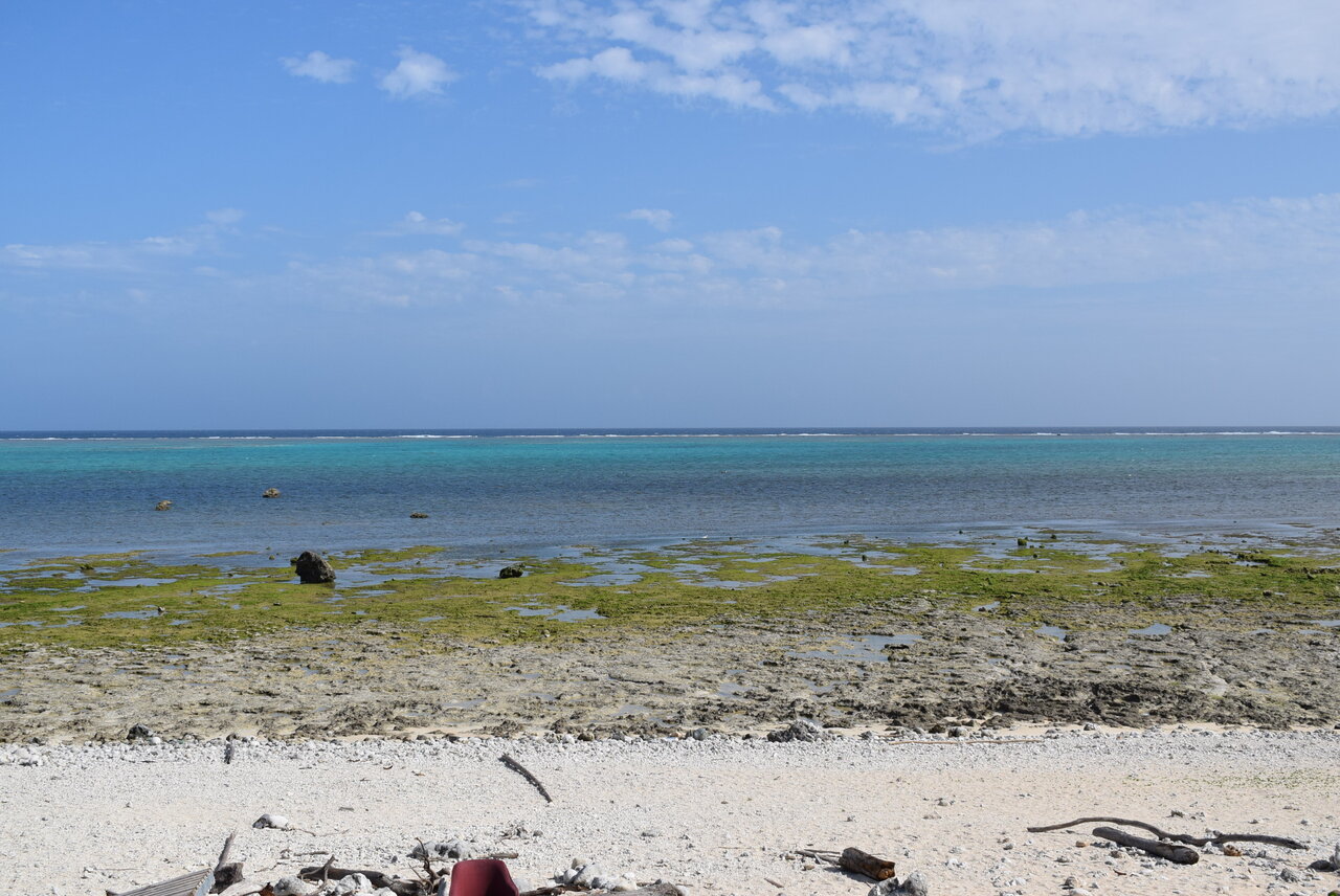 白保海岸 2月13日 Schulze Blog
