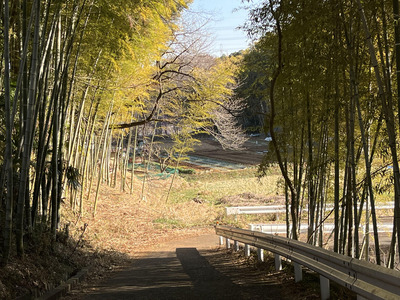 kurokawa