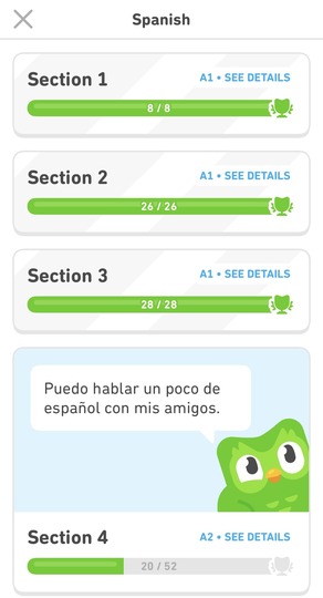 spanish_section4
