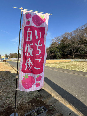 ichigo-jihanki