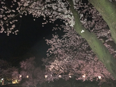 ¶âÂô¾ë·óÏ»±àÌëºù