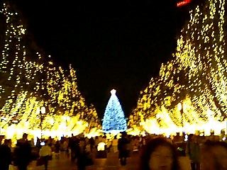 061116_XmasIllumination