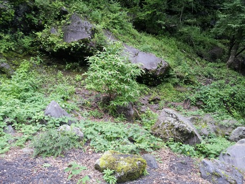 富士山の須山登山道周辺と幕岩や御胎内を散策07