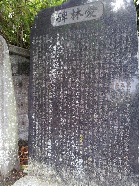ヤビツ峠の途中にある神社に寄ってみた08