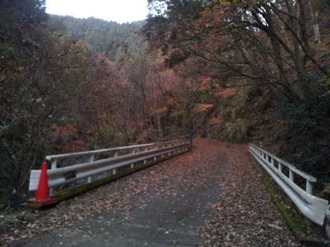 伊勢沢林道　紅葉2