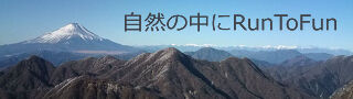 懸垂した後に肘の内側が痛くなる原因と対策を考える 自然の中にruntofun 懸垂した後に肘の内側が痛くなる原因と対策を考える 自然の中にruntofun