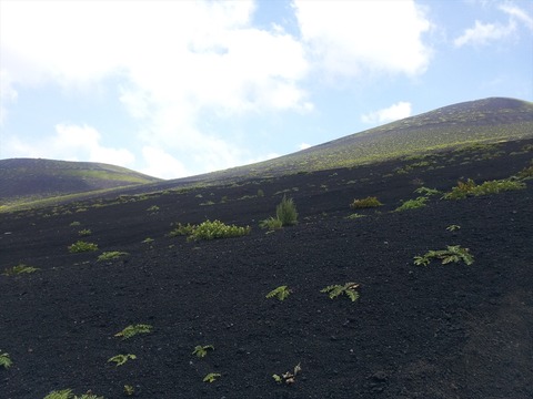 御殿場ルート(富士登山)をピストンしてみる。01