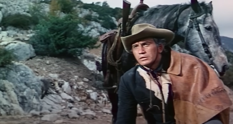 bojanic-in-spaghetti